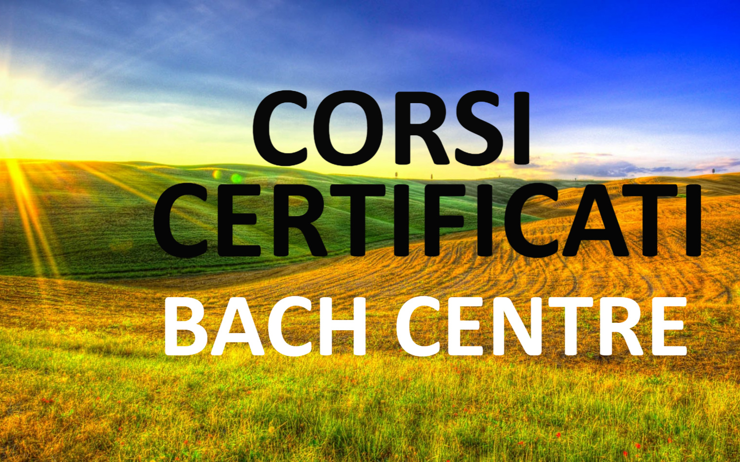 Corsi C. BC